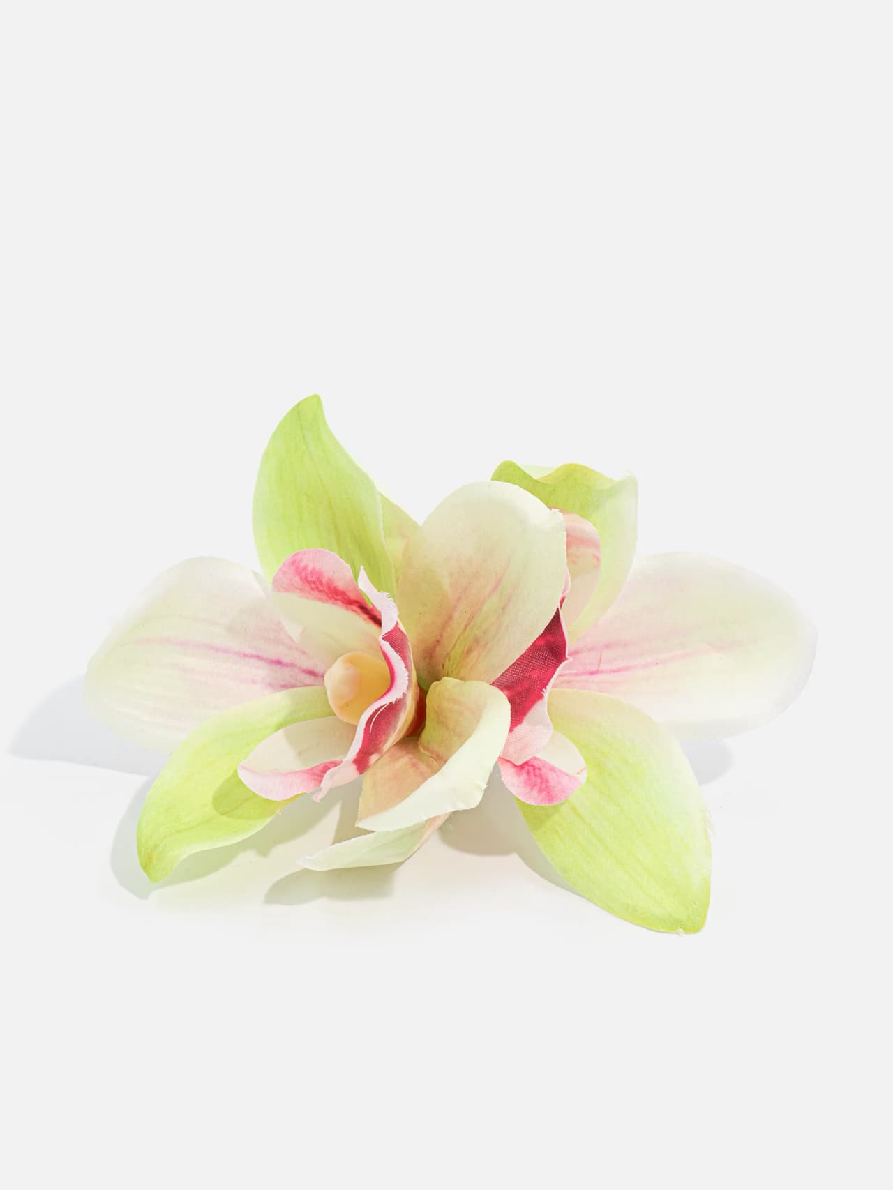 Ljusgrönt och rosa hårspänne med orkidéliknande blomma fotograferat framifrån bild