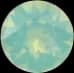 Opal