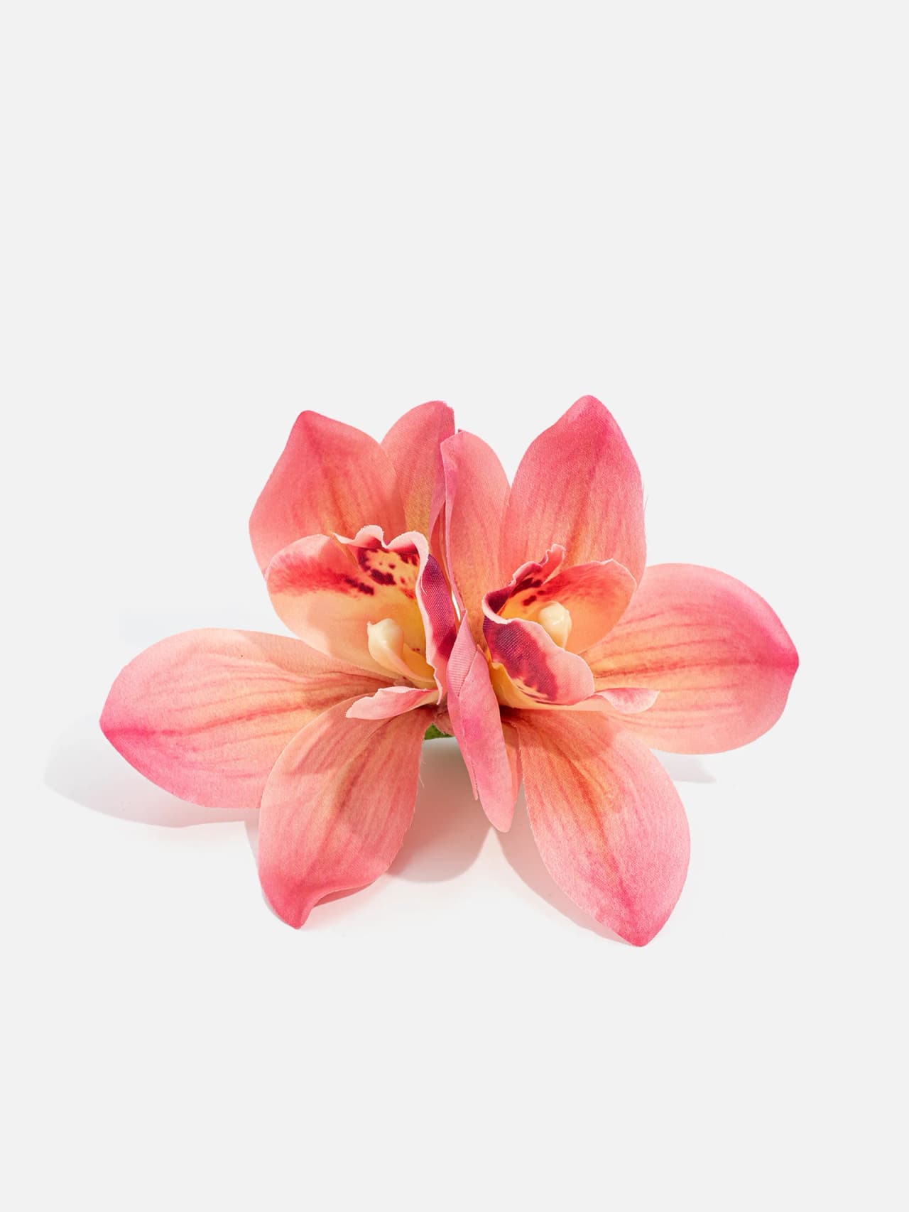 Rosa blomspänne med stor orkidéliknande blomma framifrån