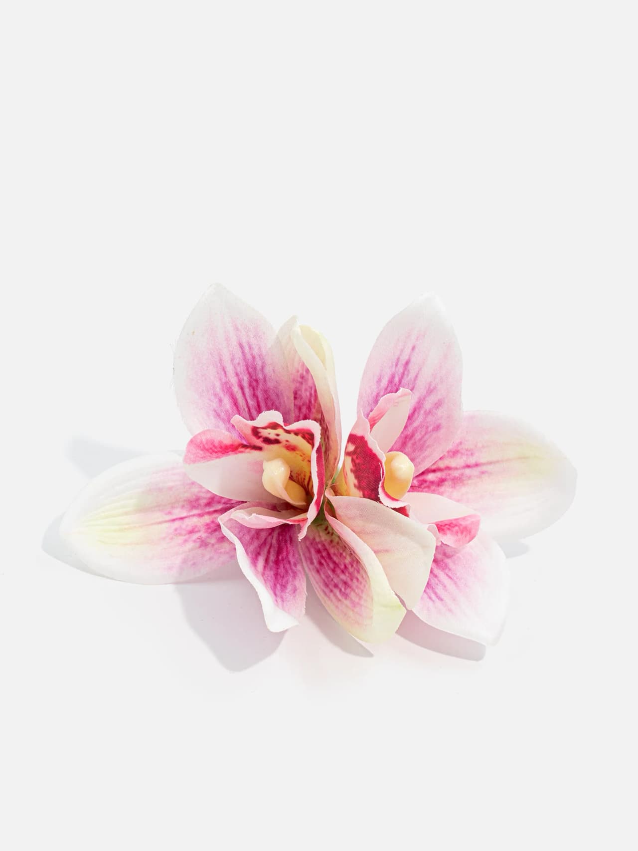 Rosa och vitt hårspänne med orkidéliknande blomma fotograferat framifrån